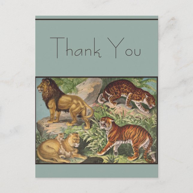 Carte Postale Gros Lions Chat Tigres, léopards, Animaux Imprimer (Devant)