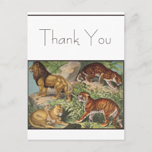 Carte Postale Gros Lions Chat Tigres, léopards, Animaux Imprimer