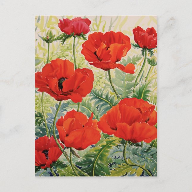 Carte Postale Gros Papillons rouges (Devant)