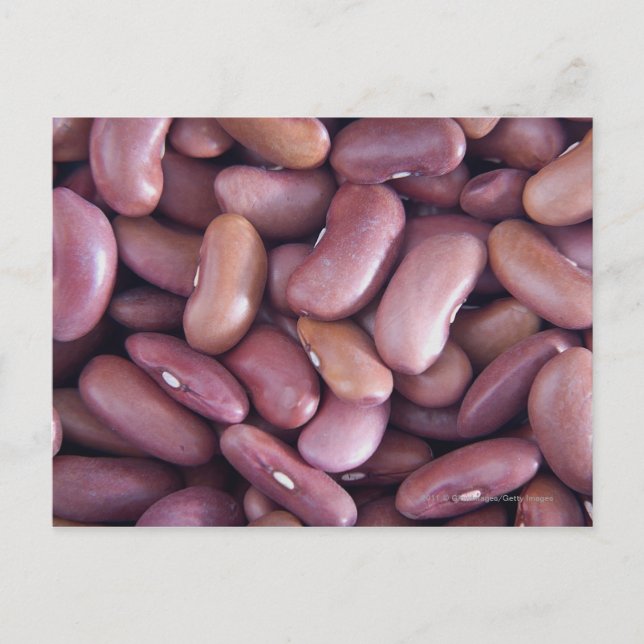 Carte Postale Gros plan des haricots reins (Devant)
