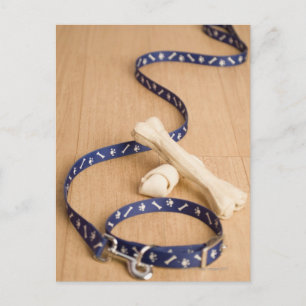 Carte Postale Gros plan d'un collier et d'une laisse avec un chi
