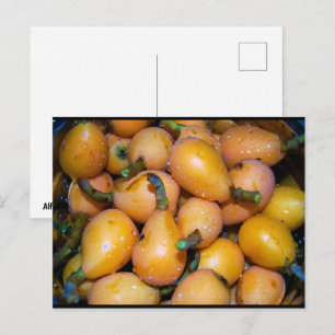 Carte Postale Gros plan sur le fruit de néflier du Japon