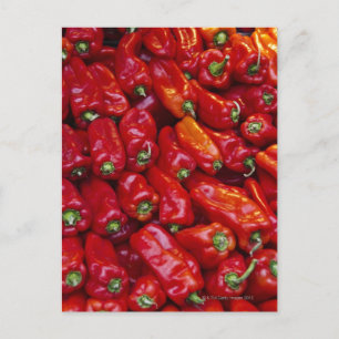Carte Postale Gros plan sur les poivrons rouges