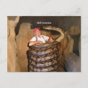 Carte postale Gros serpent QLD Australie Gros serp