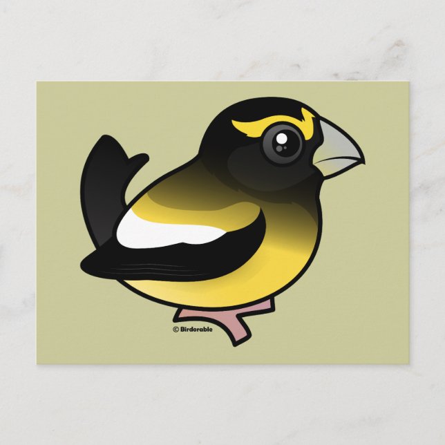 Carte Postale Grosbeak du soir (Devant)
