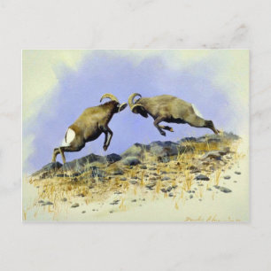 Carte Postale Grosse Corne