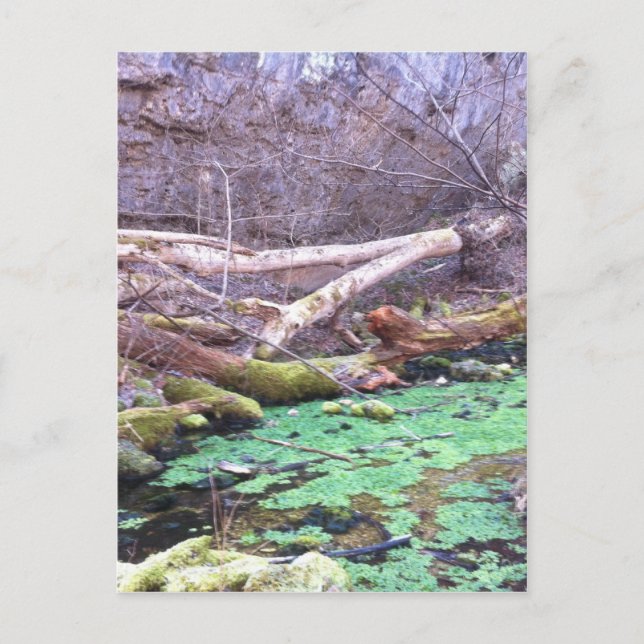 Carte Postale Grotte verte (Devant)