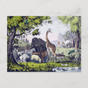Carte Postale Groupe d'animaux