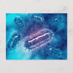 Carte Postale Groupe De Cellules Bactéries Escherichia Coli 1