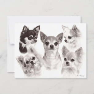 Carte Postale Groupe des cinq Chihuahuas Peint à la main