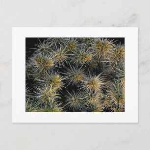 Carte Postale "Groupe Ouch"