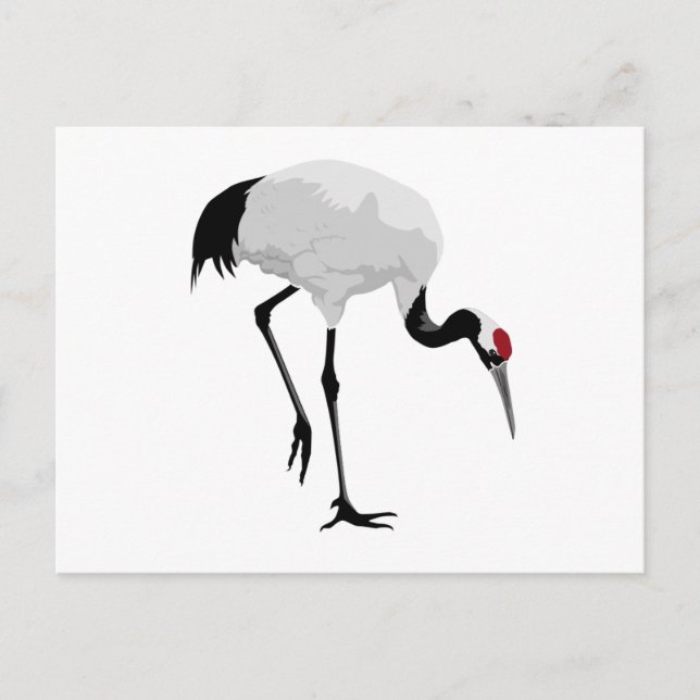 Carte Postale Grue à couronne rouge (alias Red-Crowned Crane) Gr (Devant)