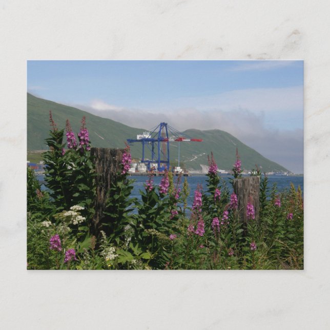 Carte Postale Grue APL en Hollande Harbour, Alaska (Devant)