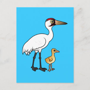 Carte Postale Grue blanche avec poussin