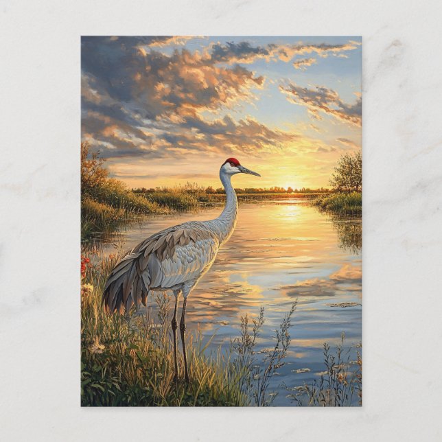Carte Postale Grue de Sandhill au coucher du soleil (Devant)