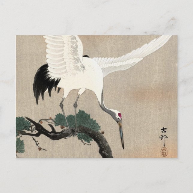 Carte Postale Grue japonaise sur la branche de pin, 1900-1930 (Devant)
