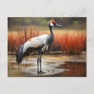 Carte Postale Grue Red Crowned debout sur l'eau