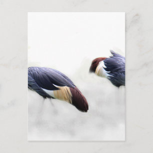 Carte Postale grue royale ailes oiseaux plumes