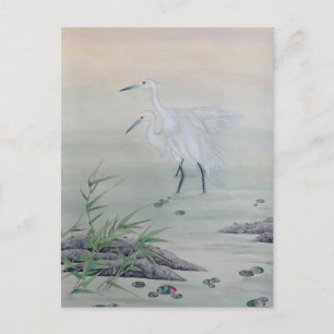 Carte Postale Grues dans la rivière Chinoise