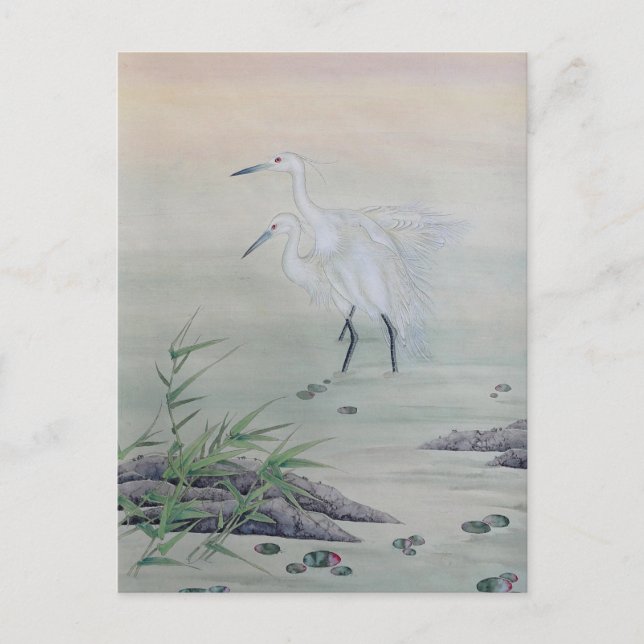 Carte Postale Grues dans la rivière Chinoise (Devant)