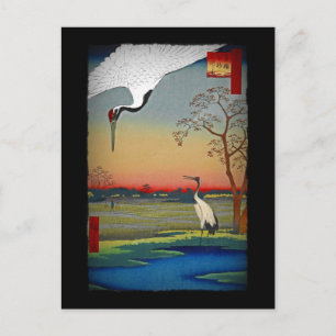Carte Postale Grues et eau bleue
