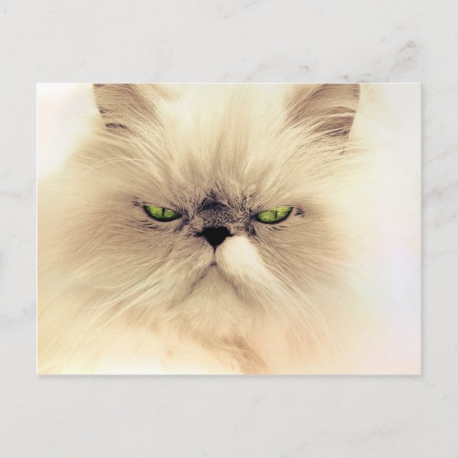 Carte Postale Gruffy pelucheux Kitty (Devant)