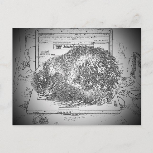 Carte Postale Grumpy Angel Laptop Lap chat ? (Devant)