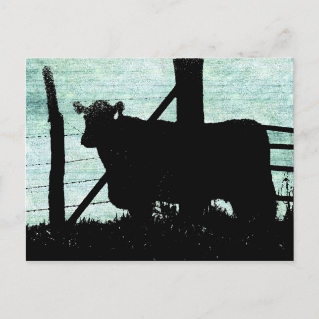 Carte Postale Grunge Cow Silhouette (Devant)