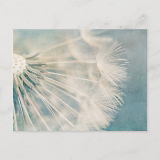 Carte Postale Grunge Dandelion