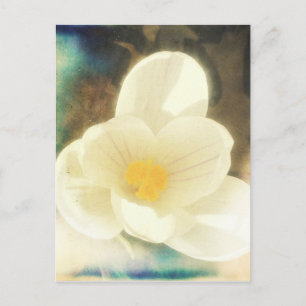 Carte Postale Grunge de fleurs de crocus