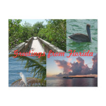 Grüße aus Florida Grußkarte Postkarte