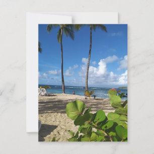 Carte postale Guadeloupe