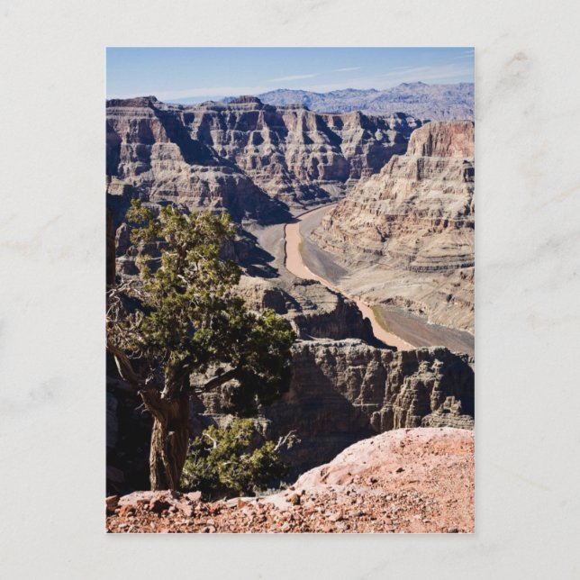 Carte Postale Guano Point (Devant)