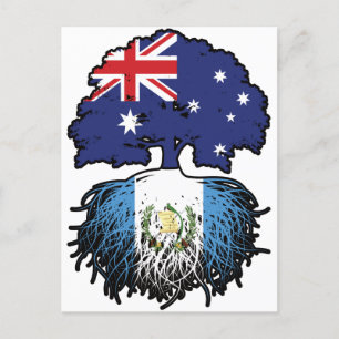 Carte Postale Guatemala Australie arbre de l'Australie