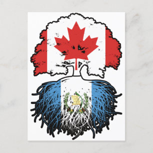 Carte Postale Guatémaltèque Racines canadiennes d'arbres du Cana