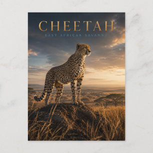 Carte Postale Guépard Savane d'Afrique de l'Est ANIMALS