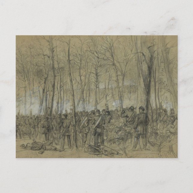 Carte Postale Guerre civile américaine : La nature sauvage (Devant)
