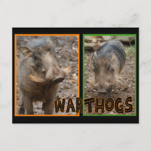 CARTE POSTALE GUERRES - ANIMAUX SAUVAGES