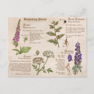 Carte postale Guide du plaisir Plante