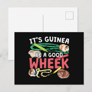 Carte Postale Guinée Soyez une bonne roue - Guinée Pig Pun
