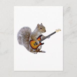 Carte Postale Guitare des écureuils