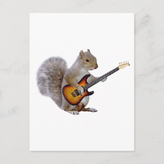 Carte Postale Guitare des écureuils (Devant)