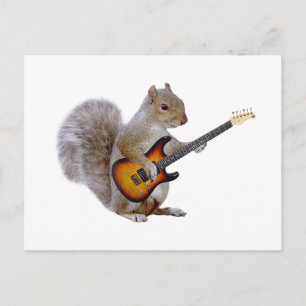 Carte Postale Guitare des écureuils