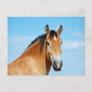 Carte postale Gulliver Headshot