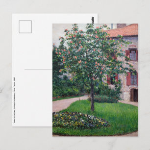 Carte Postale Gustave Caillebotte - Arbres en fleurs