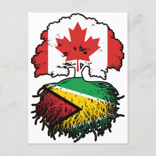 Carte Postale Guyana Guyane Drapeau canadien des racines d'arbre