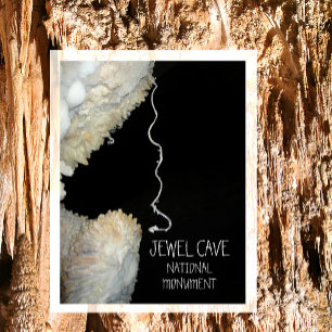 Carte Postale Gypsum Flower Tendril Jewel Cave Monument National