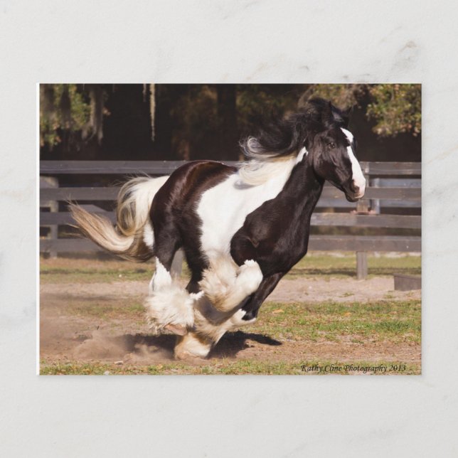 Carte postale Gypsy Gold Gypsy (Devant)