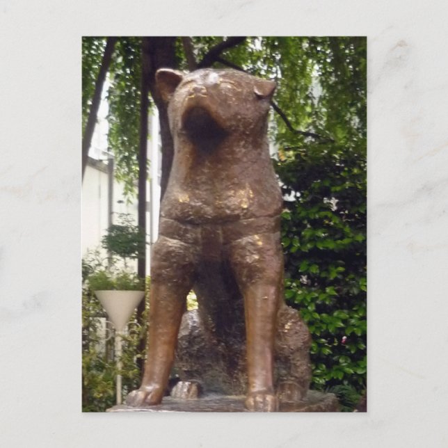Carte Postale hachiko loyal (Devant)