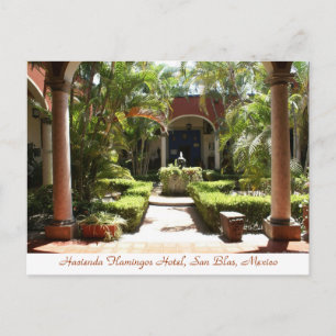 Carte postale Hacienda Flamants roses San Blas Mex